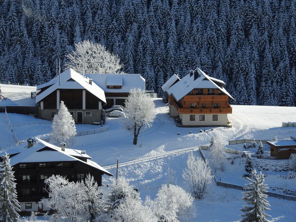 Der Hoferbauer Apartment Bad Kleinkirchheim Ngoại thất bức ảnh