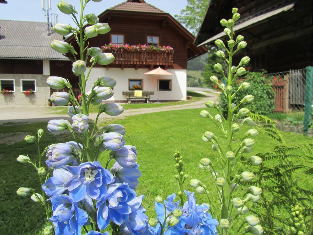 Der Hoferbauer Apartment Bad Kleinkirchheim Ngoại thất bức ảnh