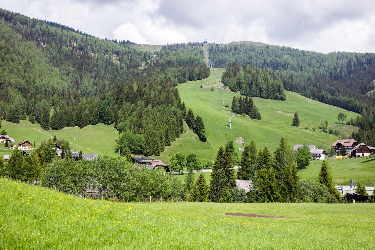 Der Hoferbauer Apartment Bad Kleinkirchheim Ngoại thất bức ảnh